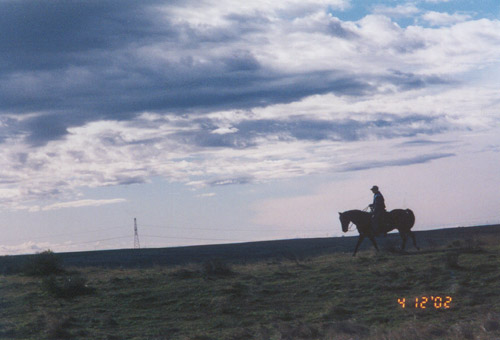 Hoffmann Ranch Branding, 2002 - Daryl's Ridge