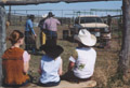 Hoffmann Ranch Branding, 2003 - Ida, Colette, and Tyler